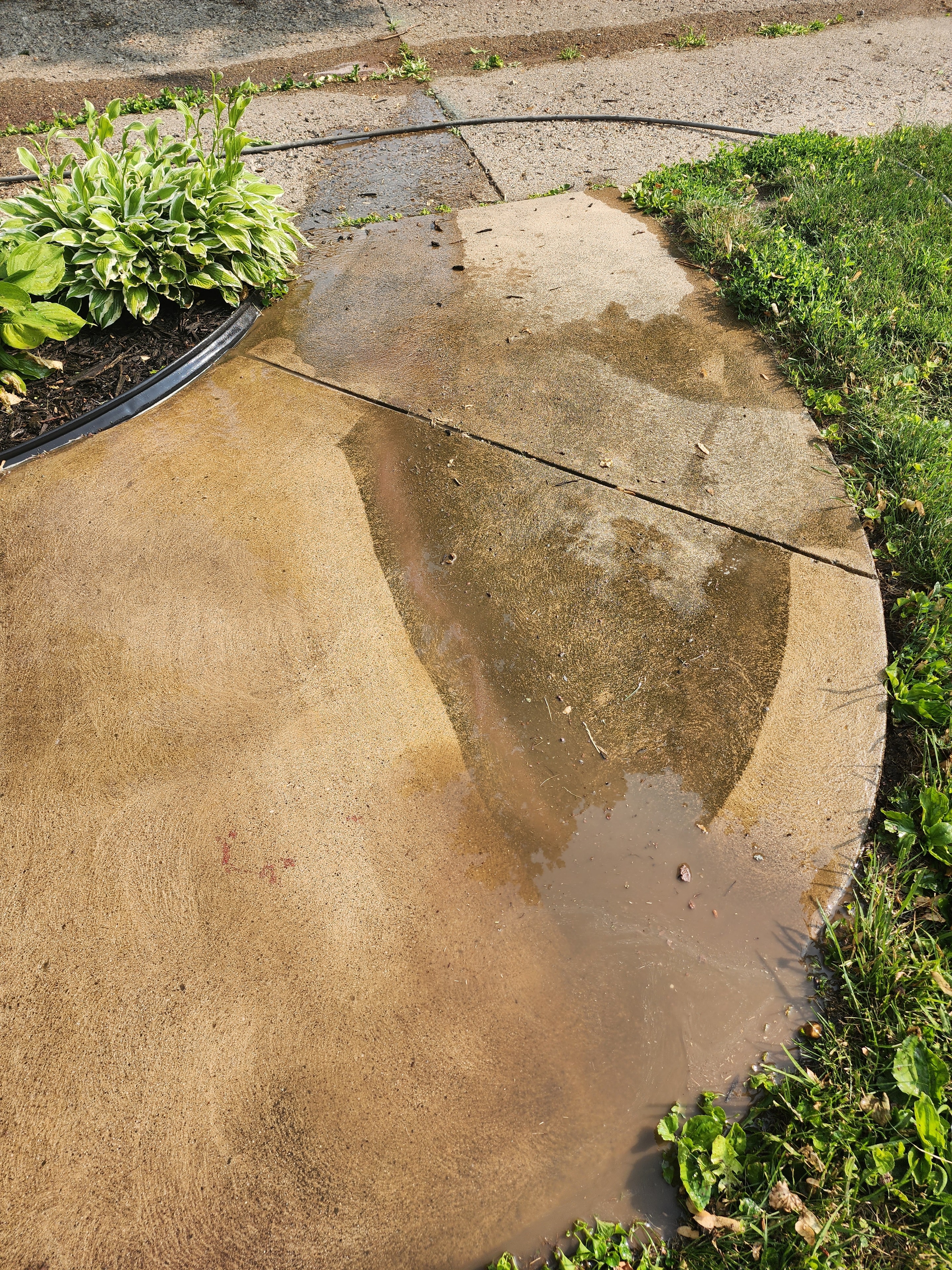 Sidewalk Cleaning